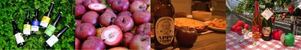 【日本一の星空】長野県阿智村　長野県産ワイン＆シードルが40種類以上『WINE＆CIDER ACHIFAIR』開催