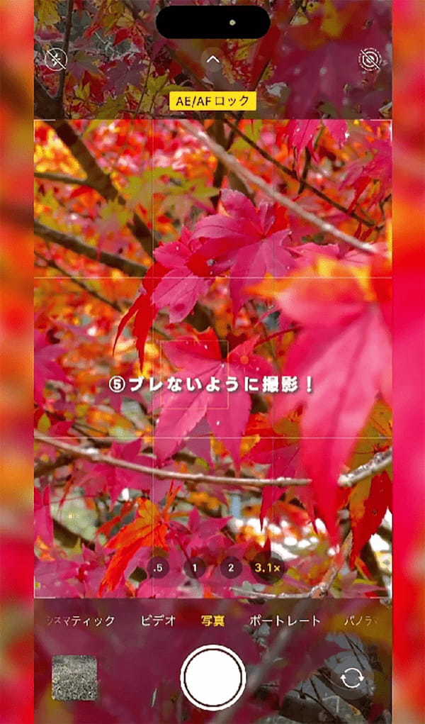 iPhoneで「紅葉をきれいに撮影する方法」 – ポイントは”主役”を決めるだけ!?