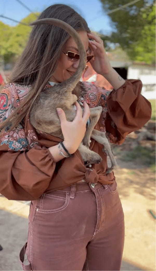 カンガルーの赤ちゃんがシャツの下に潜り込んできた！？そこはママのおなかのポケットじゃないよ！！【海外・動画】