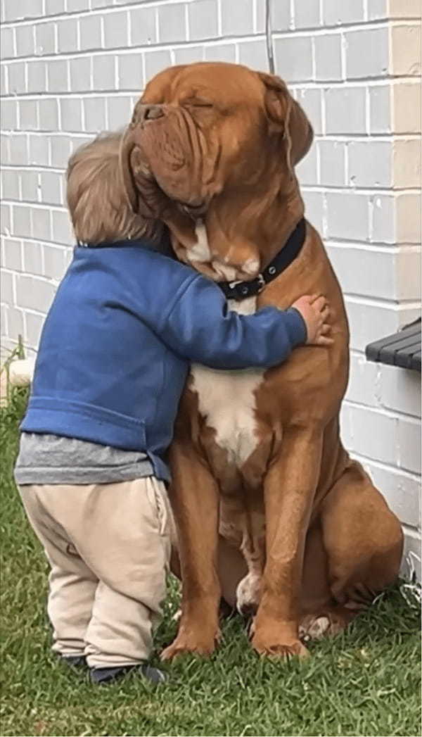 ぎゅ～！男の子から愛情たっぷりのハグに愛犬は嬉しくてウットリ【海外・動画】