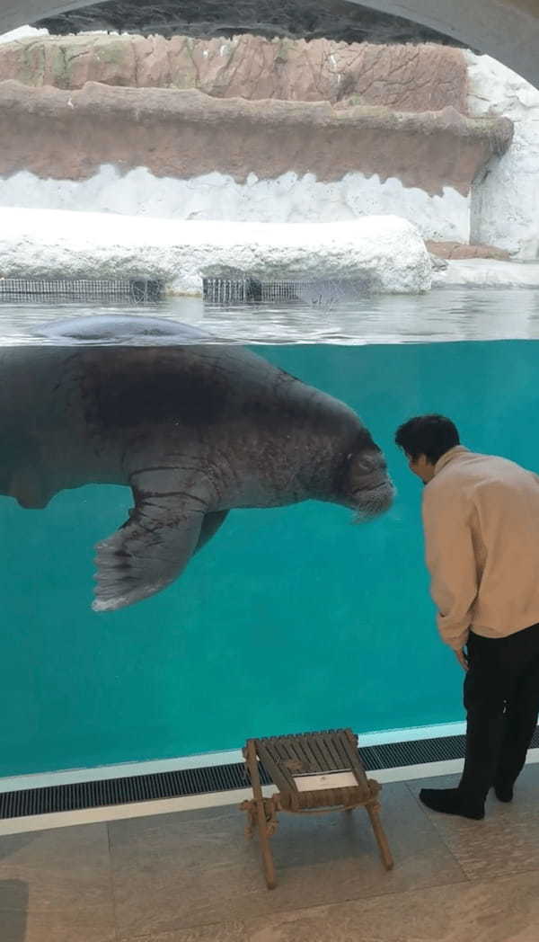 一度泊まってみたい！客室から水族館の人気者を好きなだけ眺められる贅沢なホテルが話題に【海外・動画】