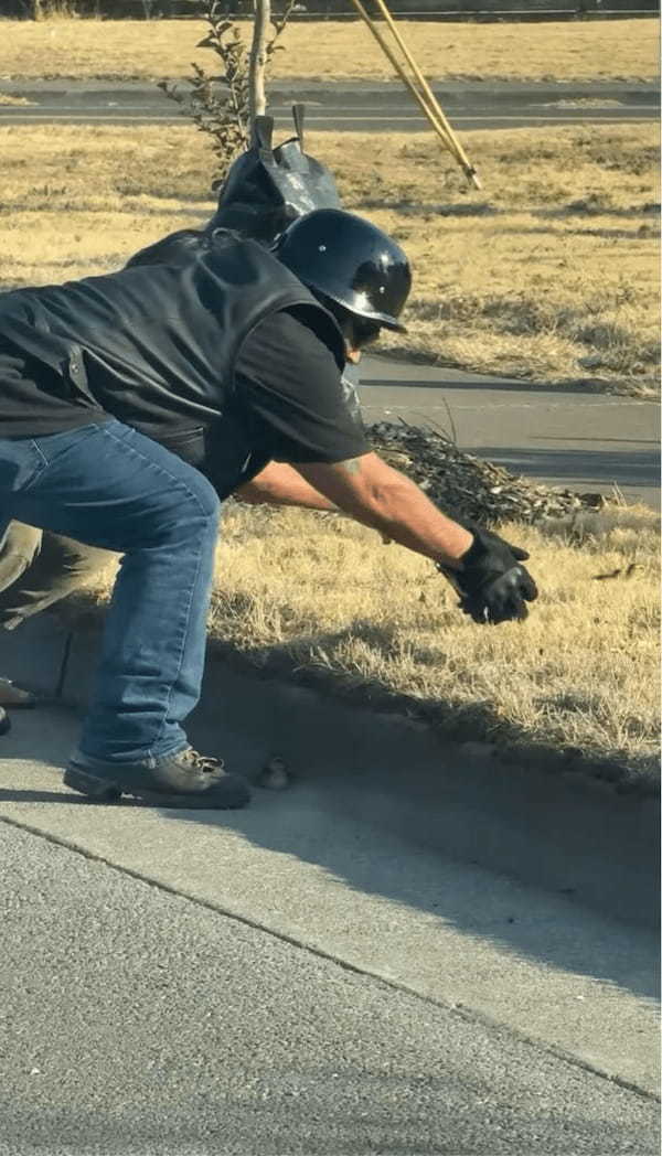 道路の段差に困っていたカモのヒナたちを手助け！親切なライダーたちに「ヒーロー」「リスペクト」の声【アメリカ・動画】