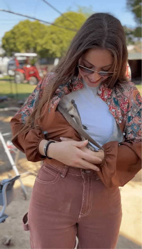 カンガルーの赤ちゃんがシャツの下に潜り込んできた！？そこはママのおなかのポケットじゃないよ！！【海外・動画】