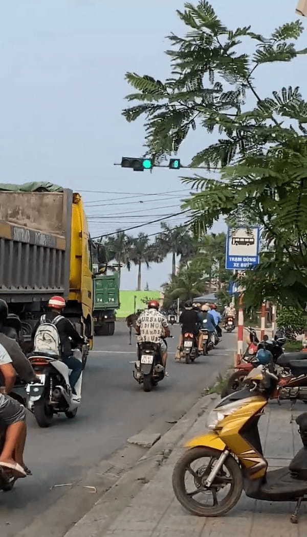 こんなところになぜ？バイクにまじってベトナムの道路を走っていくのは・・【海外・動画】