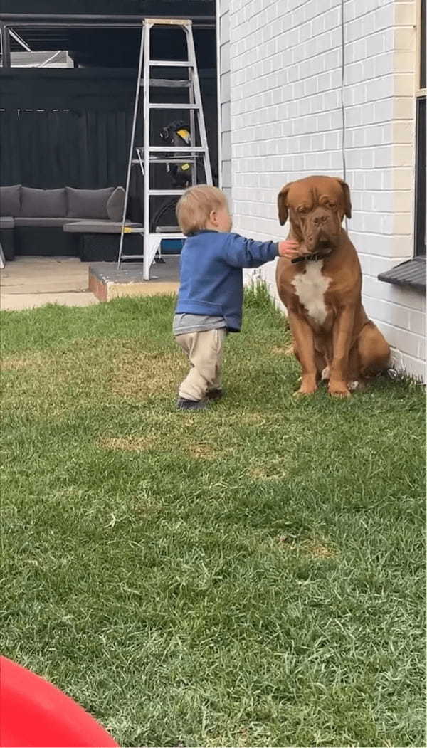 ぎゅ～！男の子から愛情たっぷりのハグに愛犬は嬉しくてウットリ【海外・動画】