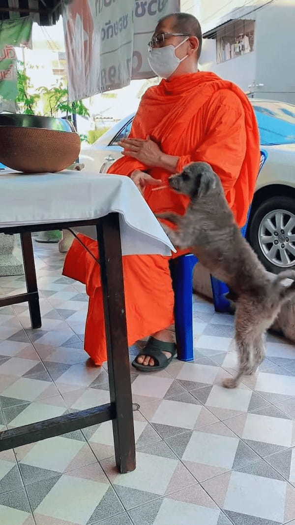 これは厳しい修行になりそうだ。読経中のお坊さんの足元に犬が！かまってあげるわけにもいかなそうですが、犬もある目的があるので離れません！！