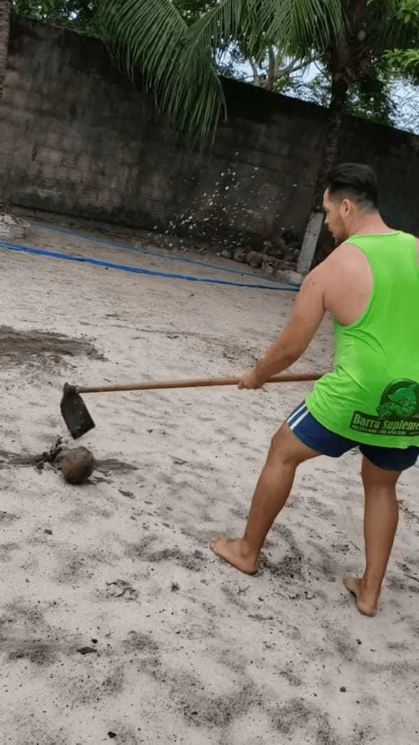 クワを使ってココナッツを割ろうと思ったら・・、とんでもないものが割れてしまいました！！【海外・動画】