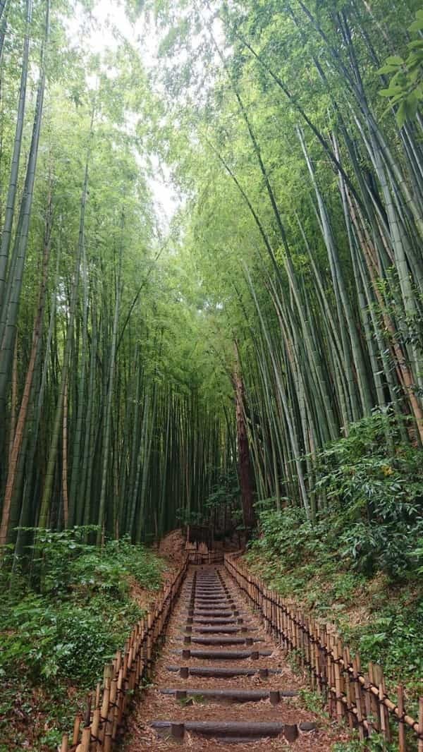 千葉県 佐倉市に行ってきました！