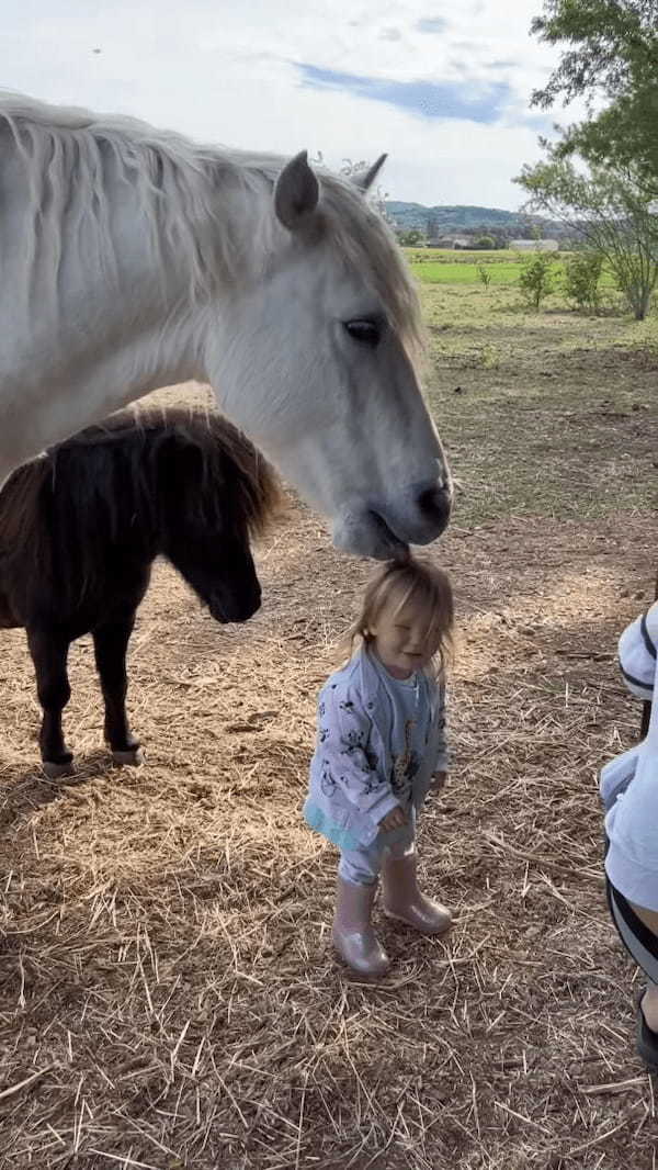 白馬に髪の毛をムシャムシャされて喜ぶ幼い女の子。この反応に、白馬は女の子をさらに喜ばせたくなったみたい！！【海外・動画】