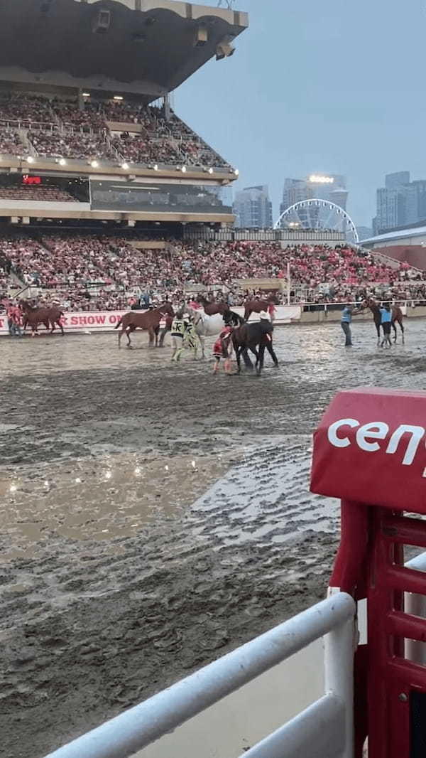 ワイルドかつ迫力満点な乗馬！ロデオイベントで騎手が見せた立ち上がる馬への乗りこなしがスゴい！！【海外・動画】