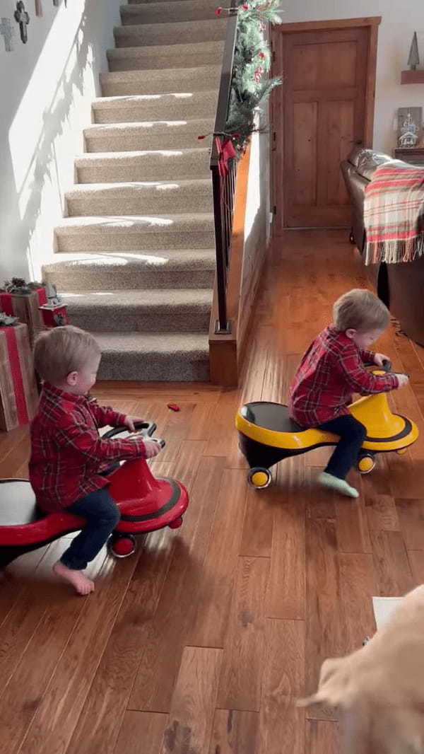 一足早いクリスマスプレゼントに大喜びする双子の男の子。手に持っていたオモチャの事をすっかり忘れてプレゼントに向かっていきます！