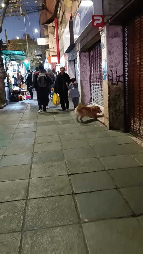 道端でペットボトルを見つけて大喜びの野良犬。嬉しすぎてピョンピョン飛び跳ねています！！