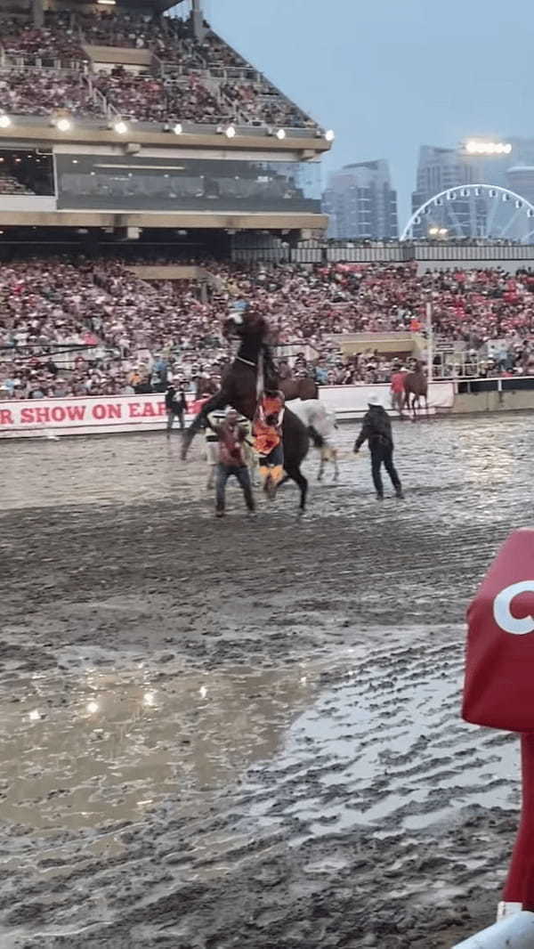 ワイルドかつ迫力満点な乗馬！ロデオイベントで騎手が見せた立ち上がる馬への乗りこなしがスゴい！！【海外・動画】