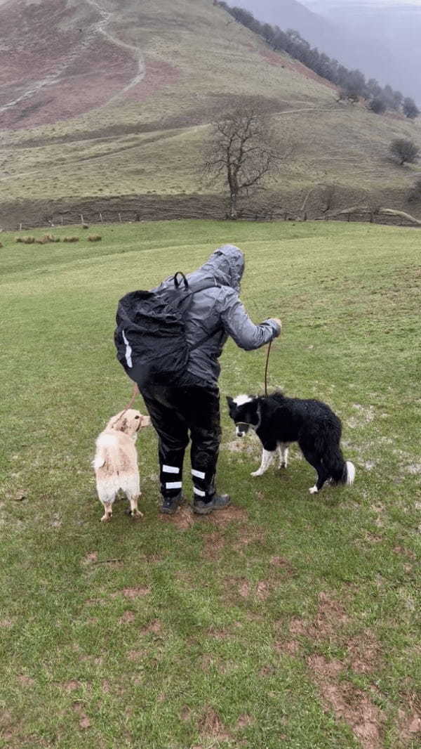 犬たちを連れて草原を歩いていたら・・。雨で地面が滑りやすくなっていたうえに、実はそこは平原ではなかったのです！！