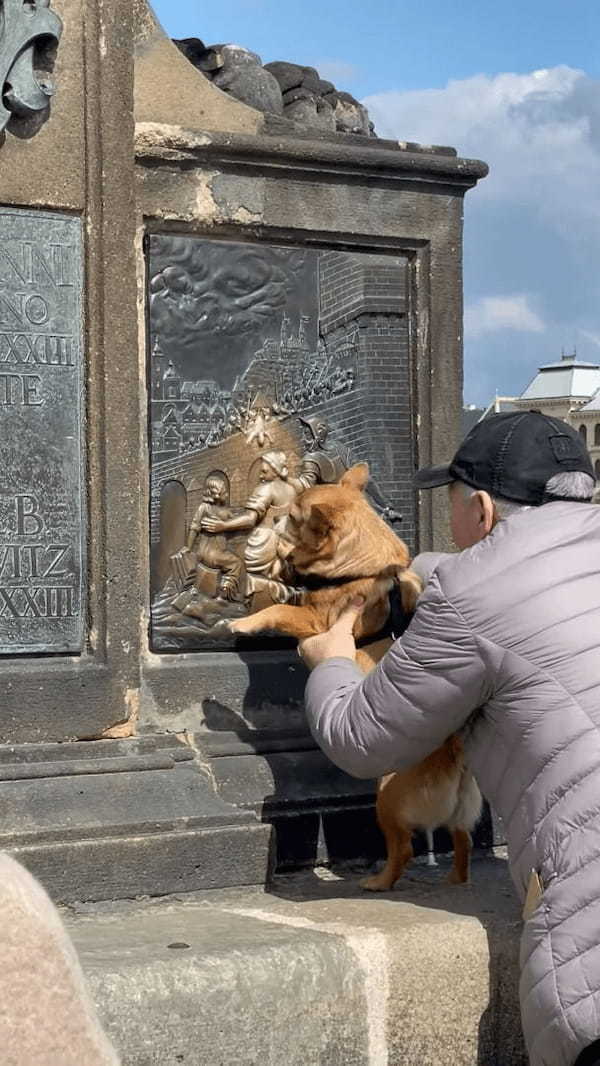 プラハの観光地で目撃された微笑ましい光景。撫でると願いが叶うとされるプレートを、おじいさんが愛犬にもナデナデさせていました！