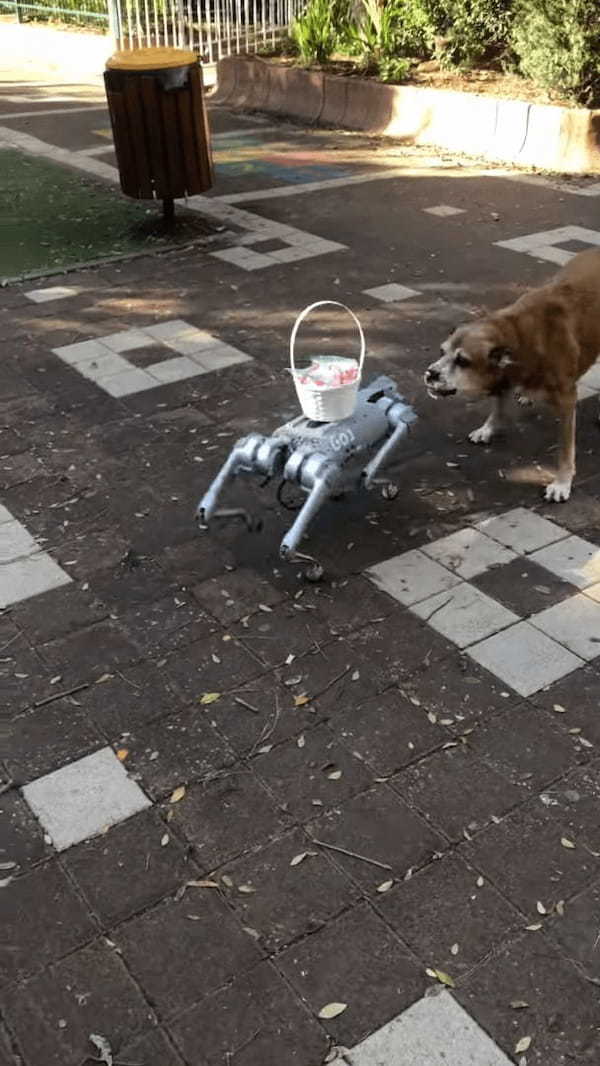 愛犬は最新ロボットにビックリ！！相手のことが気になって仕方ないようで、吠えながらどこまでも追跡します！！【海外・動画】