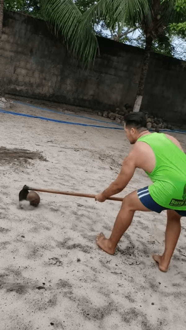 クワを使ってココナッツを割ろうと思ったら・・、とんでもないものが割れてしまいました！！【海外・動画】