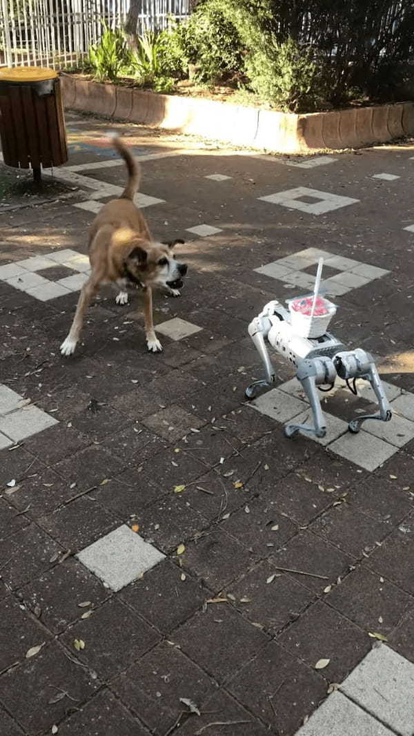 愛犬は最新ロボットにビックリ！！相手のことが気になって仕方ないようで、吠えながらどこまでも追跡します！！【海外・動画】