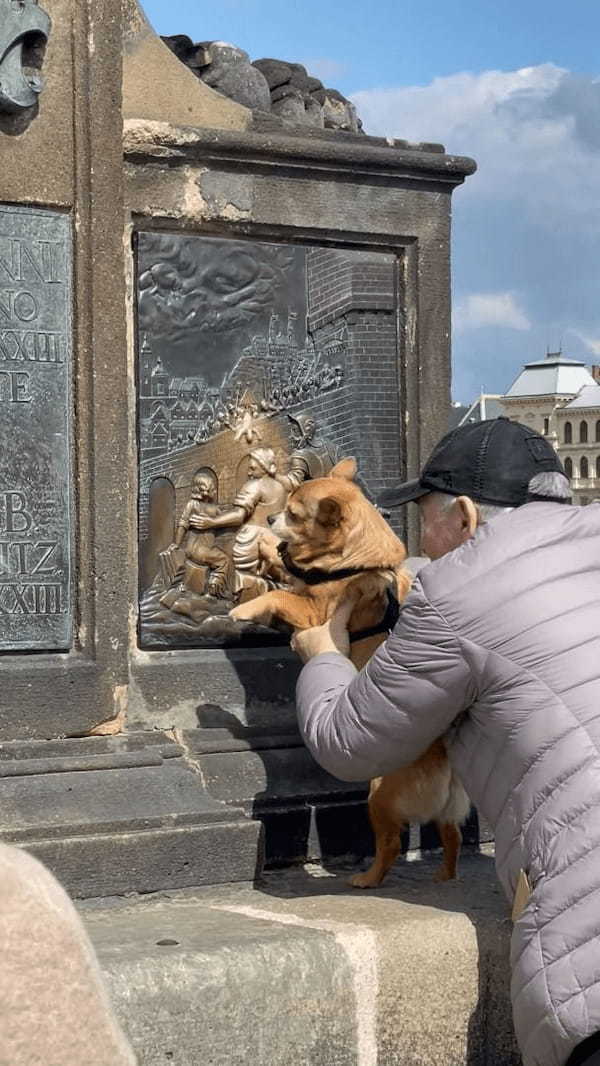 プラハの観光地で目撃された微笑ましい光景。撫でると願いが叶うとされるプレートを、おじいさんが愛犬にもナデナデさせていました！