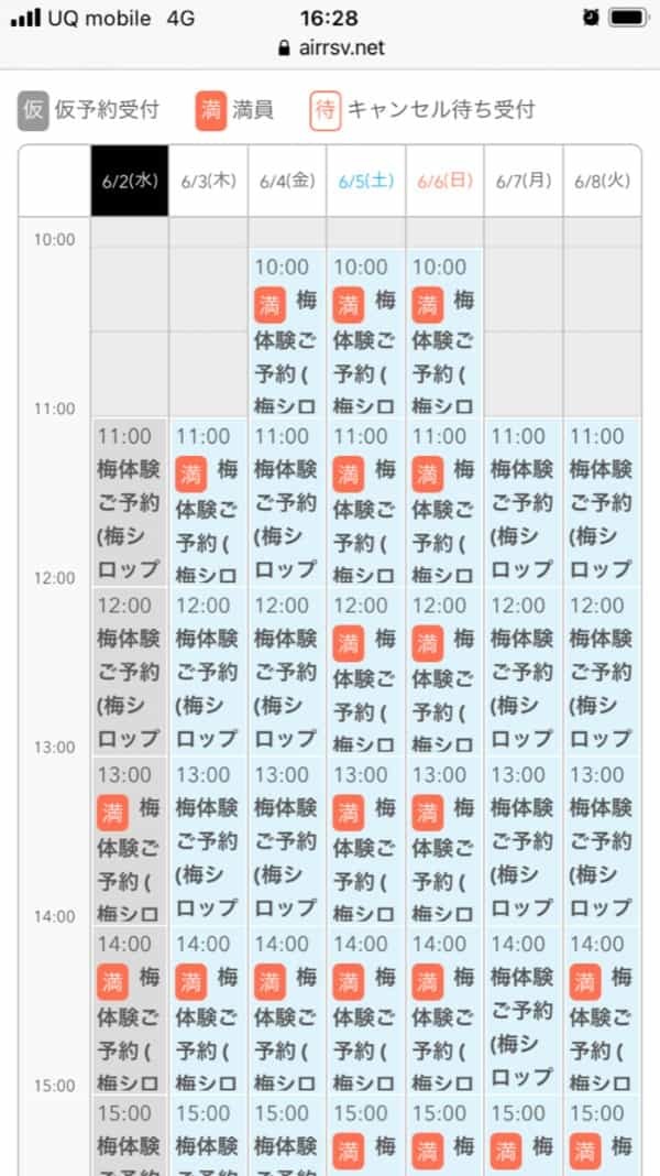 京都・蝶矢で梅酒手作り初体験