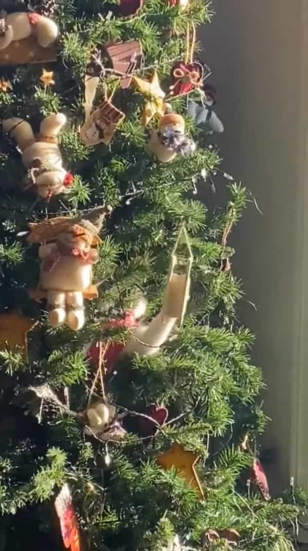 それはクリスマスのことでした。クリスマスツリーをよく見ると・・、愛猫が潜り込んで飾り付けで楽しそうに遊んでいたのです！！【海外・動画】