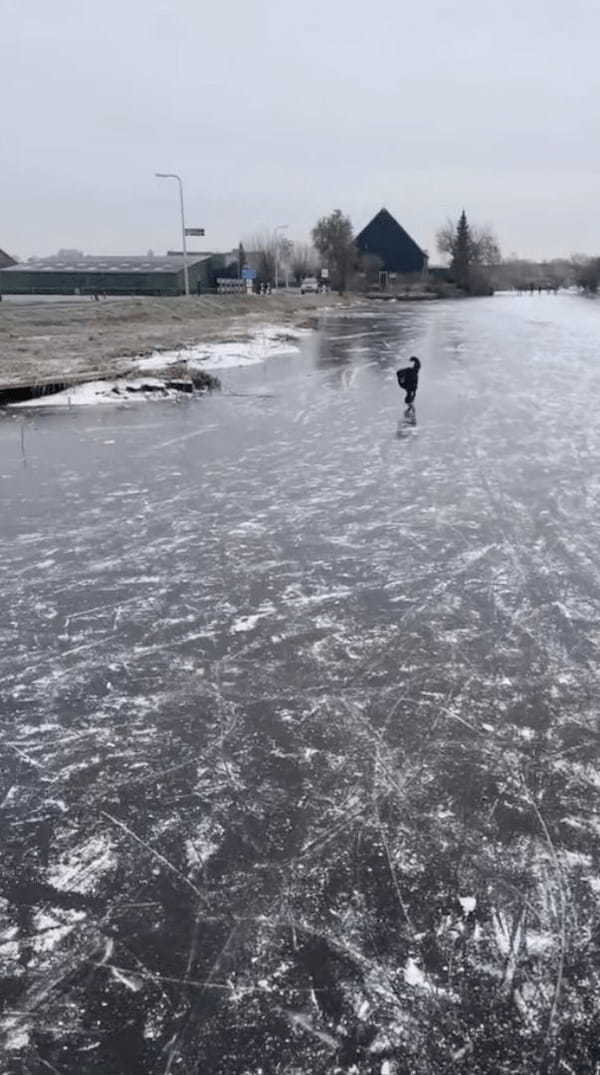 見事な走りっぷり！元気な子犬が氷の上を走る！走る！！滑って進むのではなく元気に駆けています