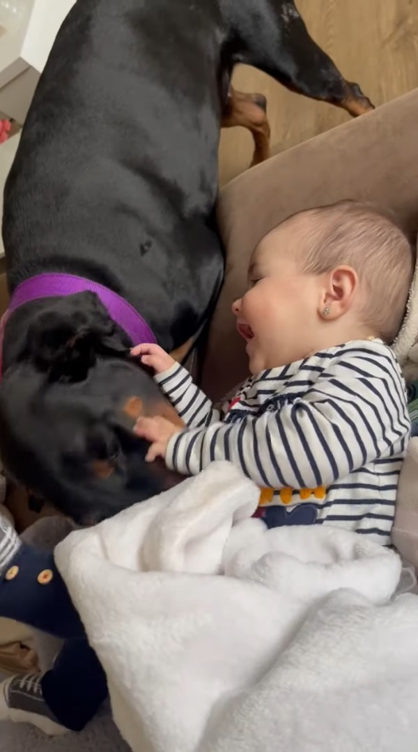 赤ちゃんと愛犬は大の仲良し！愛犬が赤ちゃんをくすぐって・・ふたりで楽しい時間を過ごしています！！【海外・動画】