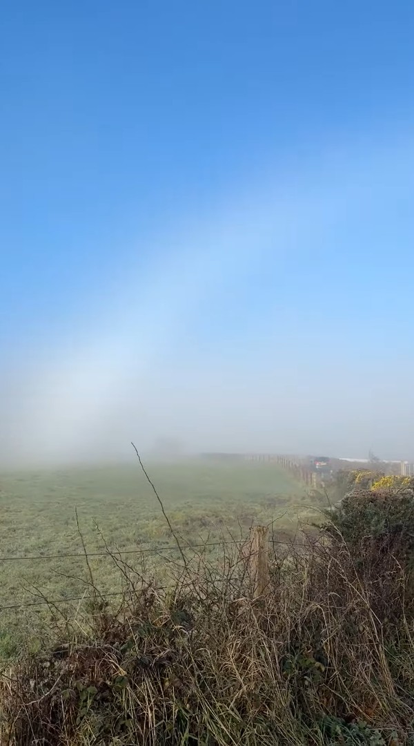 霧が生んだ絶景。愛犬の散歩に出かけたら目前に広がったのは・・、珍しい自然現象「白虹」です！！【海外・動画】