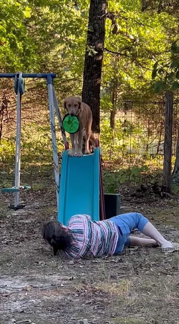 愛犬に教え込んだすべり台遊び。なんとか披露して欲しいママさんがなぜかすべり台を滑っていました！【アメリカ・動画】