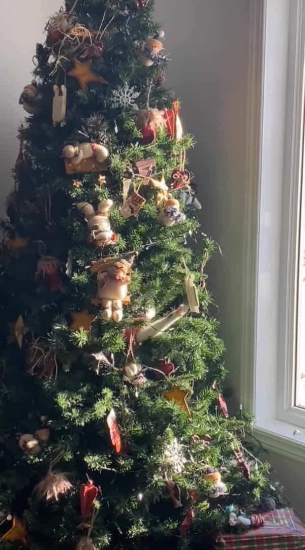 それはクリスマスのことでした。クリスマスツリーをよく見ると・・、愛猫が潜り込んで飾り付けで楽しそうに遊んでいたのです！！【海外・動画】