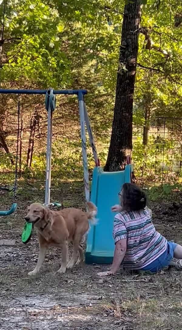 愛犬に教え込んだすべり台遊び。なんとか披露して欲しいママさんがなぜかすべり台を滑っていました！【アメリカ・動画】