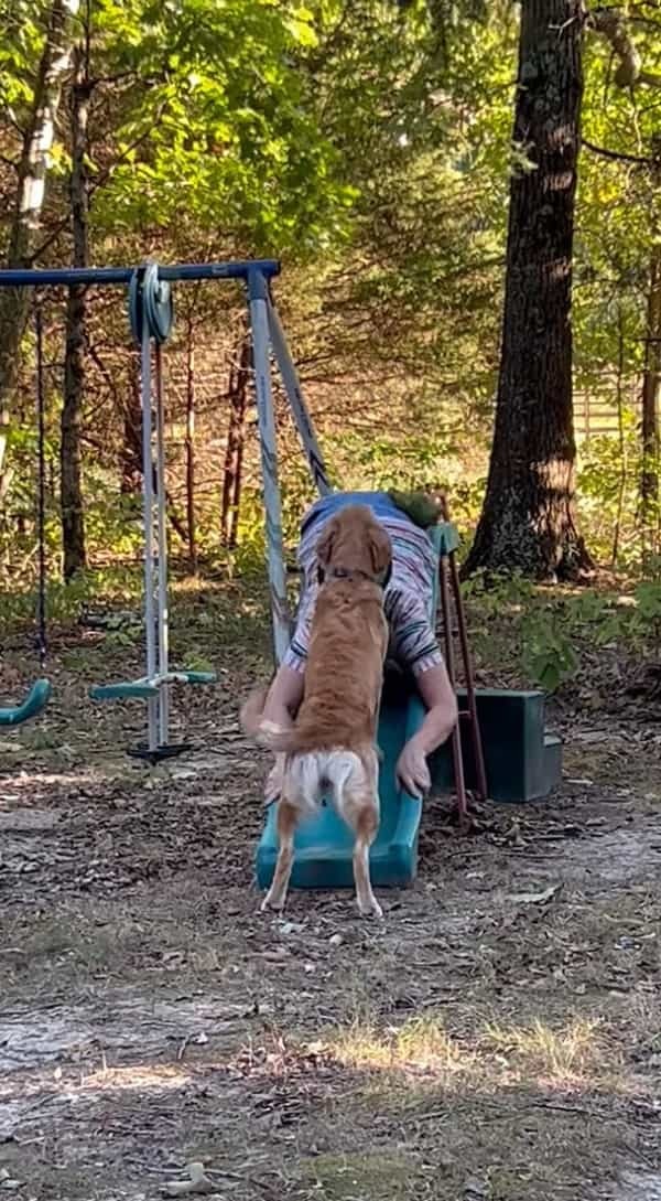 愛犬に教え込んだすべり台遊び。なんとか披露して欲しいママさんがなぜかすべり台を滑っていました！【アメリカ・動画】