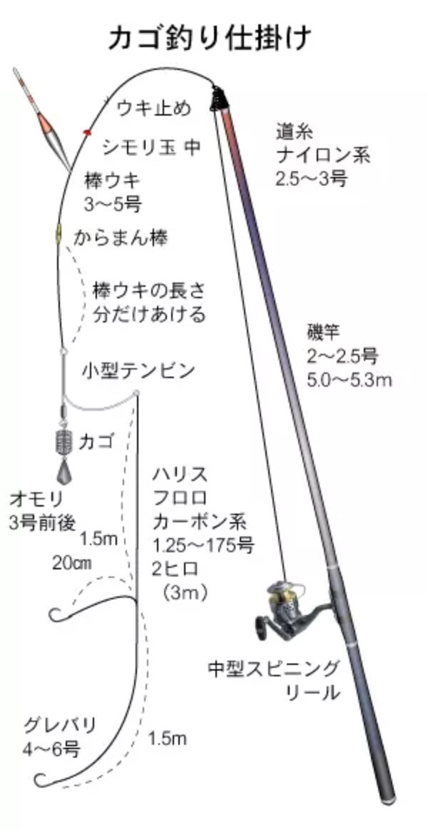 釣り初心者への入門ガイド！気になる初めての疑問を解消しよう