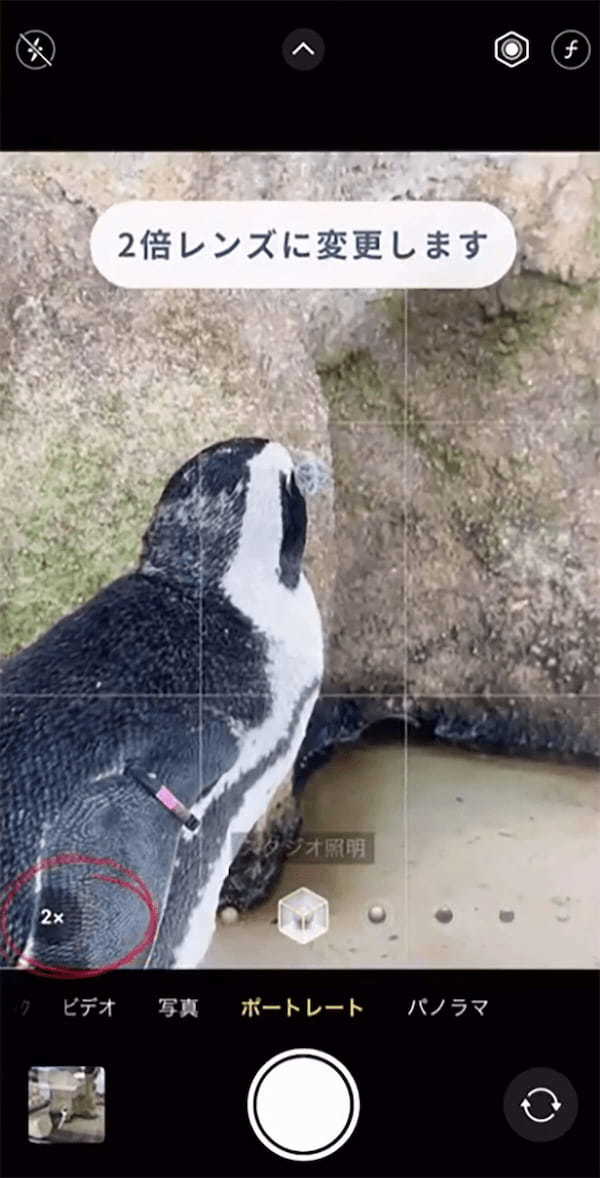 iPhone「ガラス越し写真で映り込みを防ぐ」撮影方法が話題 – 動物園や水族館で大活躍