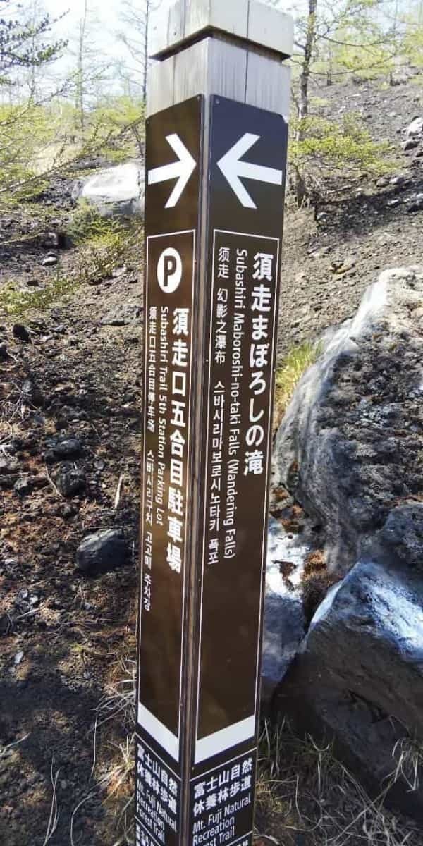 【日帰り登山】富士山の魅力　須走「まぼろしの滝」と「小富士」散策の眺望