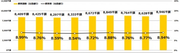 犬・猫のペット保険は必要か!?保険会社の選び方や加入者数、人気・おすすめランキングを調査