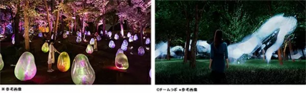 常設展「チームラボ ボタニカルガーデン 大阪」今夏オープン！ 長居植物園の夜を彩る