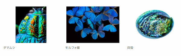 モルフォ蝶と同じ「構造色で色付けする新しいインクジェット技術」（富士フイルム）