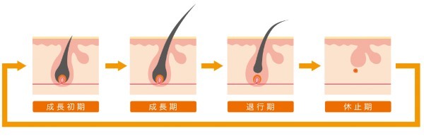 【髭脱毛】効果が出るのは何回目？気になる回数と効率よく終わらせる方法