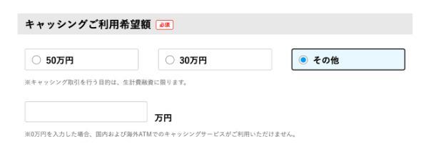 ブラックでも借入出来るクレジットカードはある?