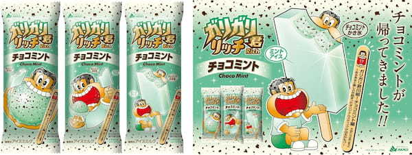 ミルクが濃くなってチョコミントが帰ってきました!!全6種類のオリジナルスティックが出るかも!?「ガリガリ君リッチチョコミント」