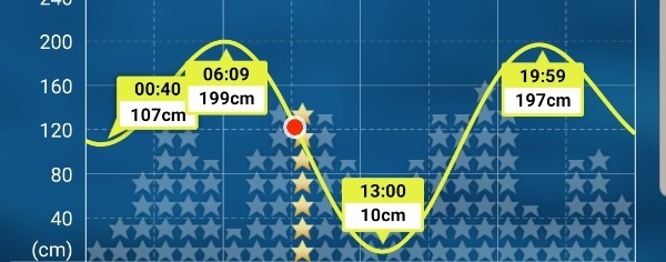 【ジャクソン】東京湾奥名物「初夏のチヌ（黒鯛）ルアーゲームの楽しみ方」をご紹介！