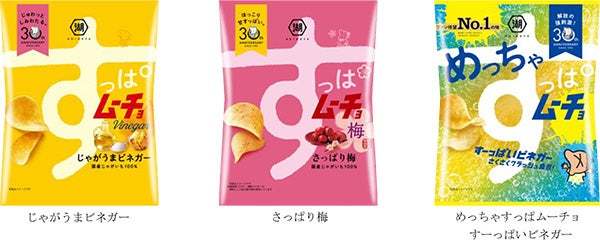 湖池屋(こいけや)「すっぱムーチョ」を使ったコラボメニューを販売します 第一ホテル東京 レストラン4店舗にて 2023年4月1日（土）より