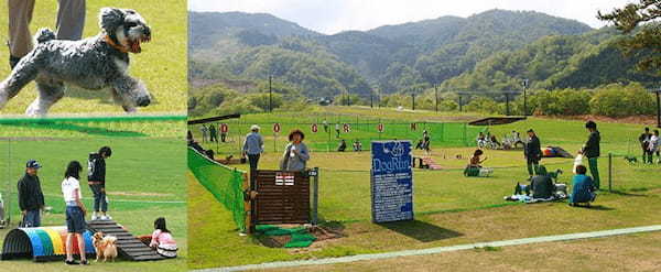 ペットと一緒に楽しもう!北陸・甲信越で人気のおでかけスポット一覧!山梨県・長野県・福井県・石川県・富山県・新潟県