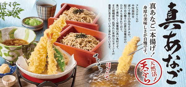 和食麺処サガミで「真あなご料理」を開催!