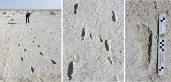 1万年以上前の「母と子どもの足跡の化石」から親子がたどった旅路が明らかに