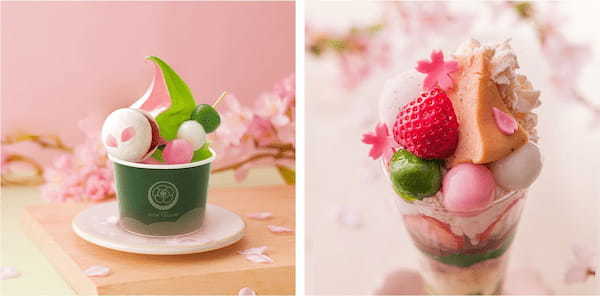 【桜と抹茶が織りなす「春スイーツ」特集】売り切れが絶えない幻のスイーツ「Petitパフェ花咲」等、4月下旬まで味わえる限定商品を販売中!