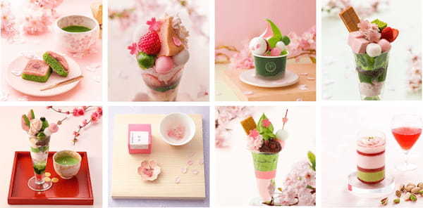 【桜と抹茶が織りなす「春スイーツ」特集】売り切れが絶えない幻のスイーツ「Petitパフェ花咲」等、4月下旬まで味わえる限定商品を販売中!