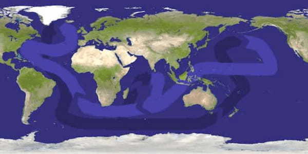 氷河期、海面上昇…海流システム崩壊で“地球規模の災害”が起こるのか！？科学者が警鐘