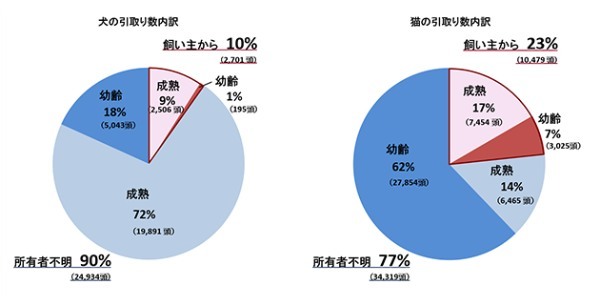 TNR活動とは？猫の保護活動について考えよう！最新の保護猫数も解説